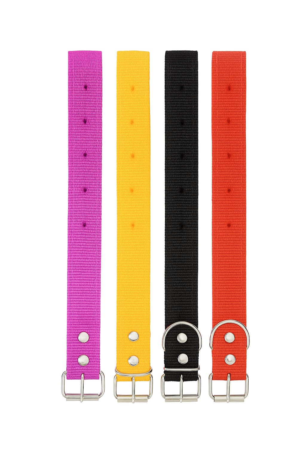 4 Colour Dog Collar for Small & Medium Dogs – 20" Adjustable Neck Belt | Pink,Red, Yellow & Black | Soft, Durable & Stylish Pet Accessory | 4 Pcs Dog & Cat's Everydayuse Collar, Pack of 4 - Image 2
