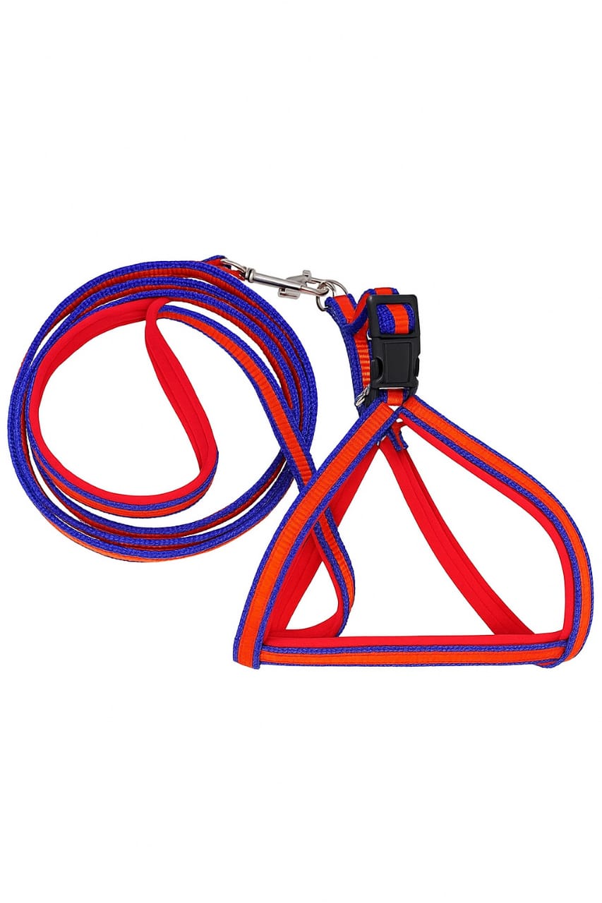 Adjustable Nylon Dog Harness with 57" Leash for Small & Medium Dogs – Chest Size 13-21" – Strong & Comfortable Pet Belt Set in Red & Blue (0.5 Inch Width) - Image 3