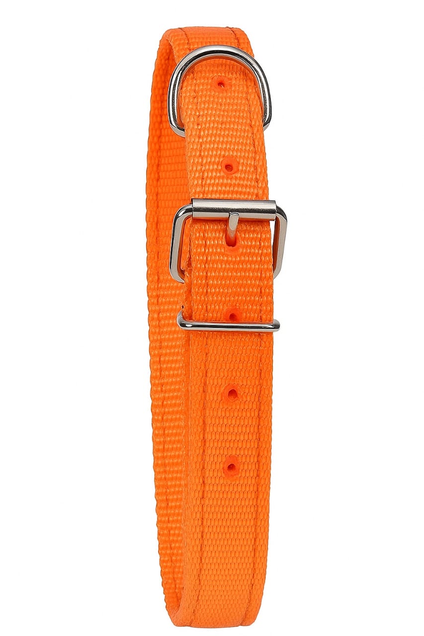 5" Durable Dog Chew Bones – Pack of 2 for Small & Medium Aggressive Chewers – Long-Lasting Natural Rawhide Treats with Free Red Dog Collar - Image 4