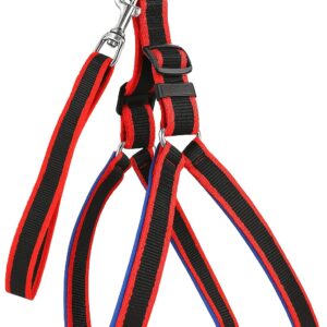 Adjustable Nylon Dog Harness with 57" Leash for Small & Medium Dogs – Chest Size 13-21" – Strong & Comfortable Pet Belt Set in Red & Blue (0.5 Inch Width)
